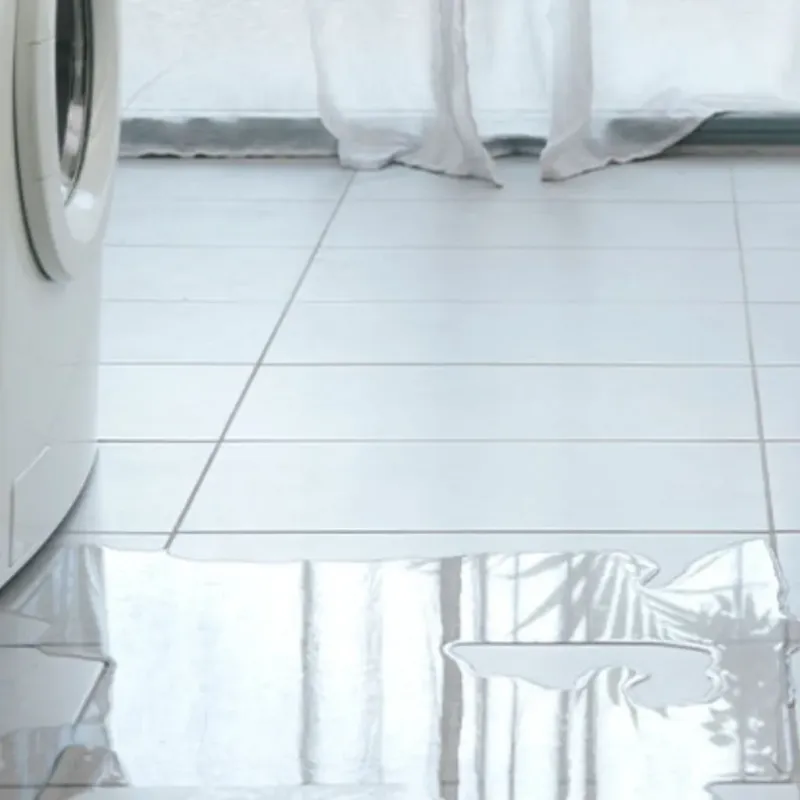 Appliance Leak Cleanup in Carroll County, IN