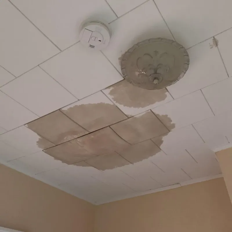 Ceiling Water Damage Repair in Carroll County, IN