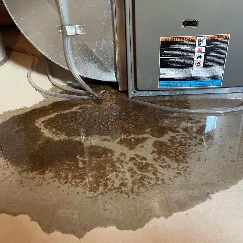 Pipe Burst and Leak Restoration in Carroll County, IN