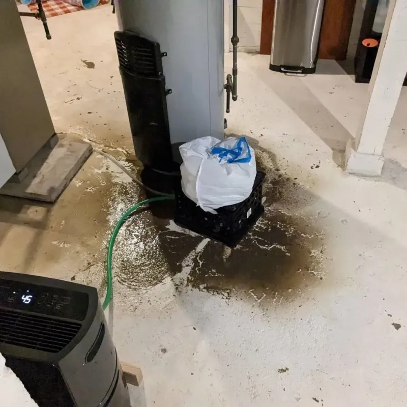 Sewage Backup Cleanup Service in Carroll County, IN